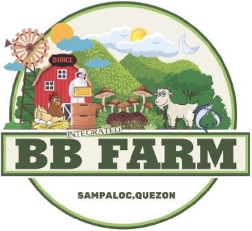 BB Farm